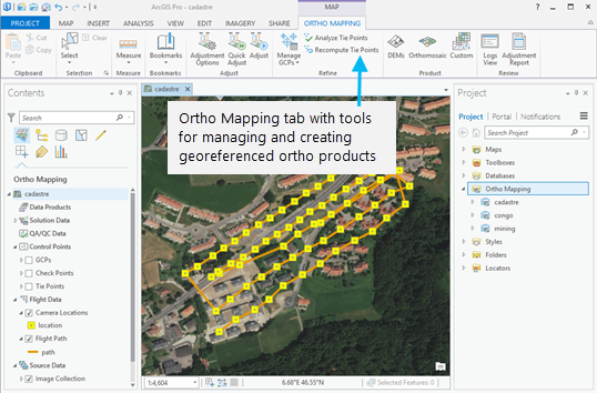 Ortho Mapping tab