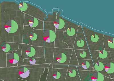 Pie chart symbology in ArcGIS Pro 2.5