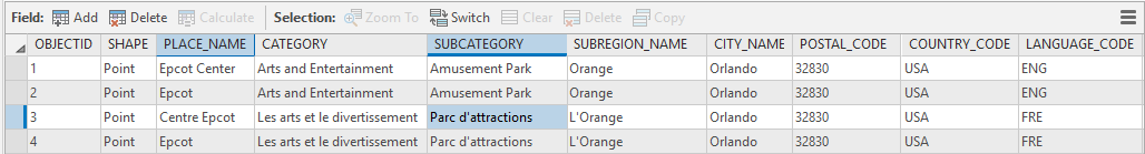 Table showing records with multiple languages, country codes, and language codes