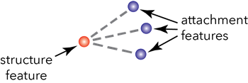 Structural attachment associations