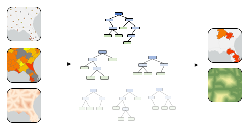 Forest model diagram