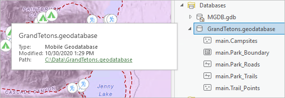 Mobile geodatabase in the Catalog pane