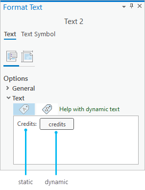 Format text pane with dynamic text