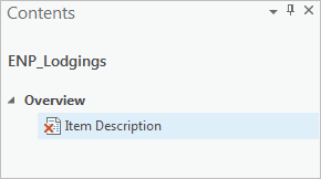 Item Description element in the Contents pane