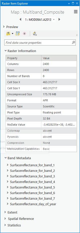 Band Metadata on the Raster Item Explorer dialog box