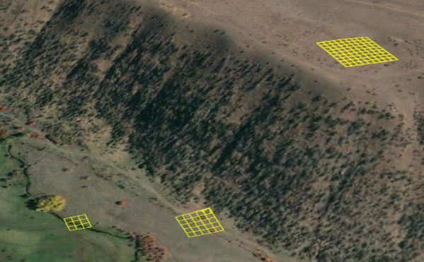 Adaptive neighborhood sizes