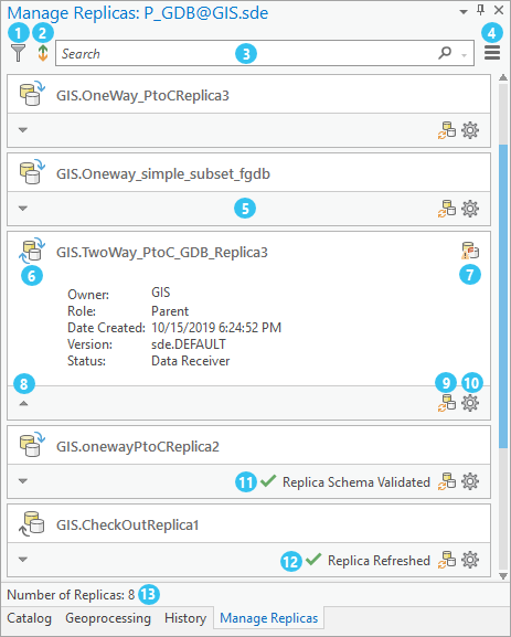 Elements of the Manage Replicas pane