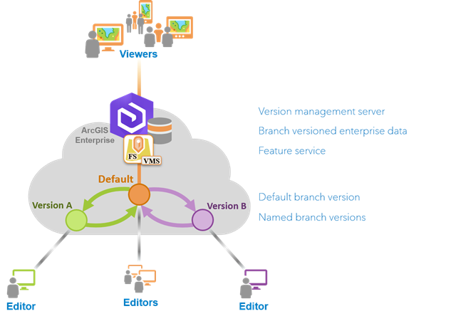 Overview of branch versioning