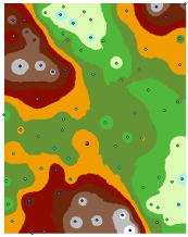 Interpolated elevation surface