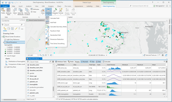 Data Engineering view and ribbon