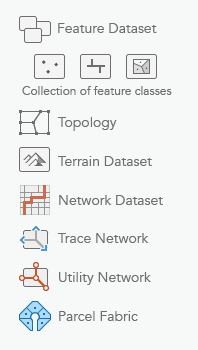 Supported data types in an ArcGIS Pro feature dataset