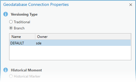 Geodatabase Connection Properties for Branch Versioning Type