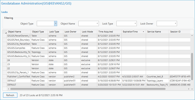 Locks view on the Geodatabase Administration dialog box