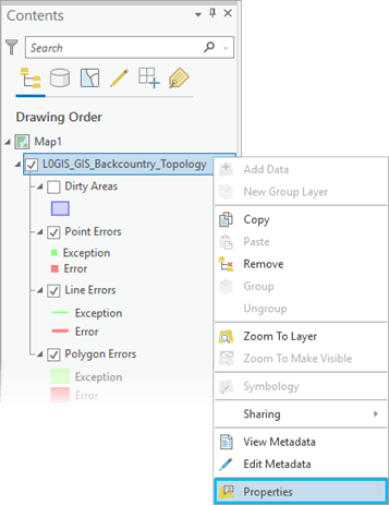 Accessing the properties of a topology published as a web feature layer