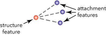 Structural attachment associations