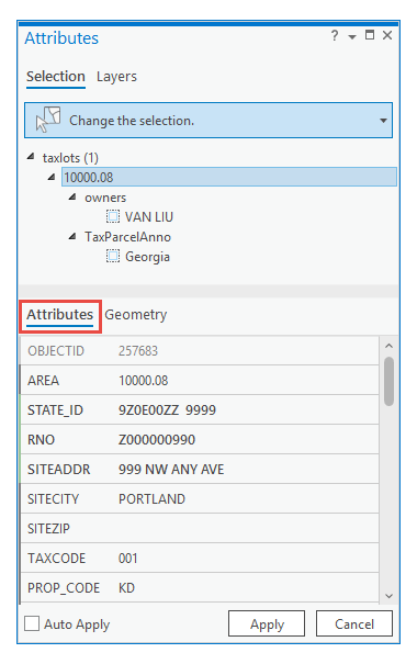 Attributes tab