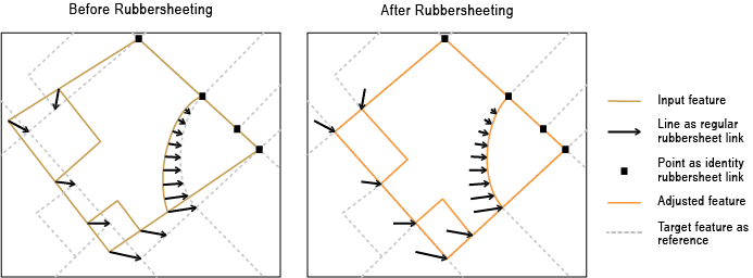 Rubbersheet Features