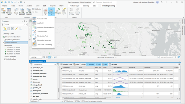 Data Engineering view and ribbon