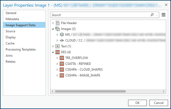 NITF layer ISD accessed from the Properties dialog box