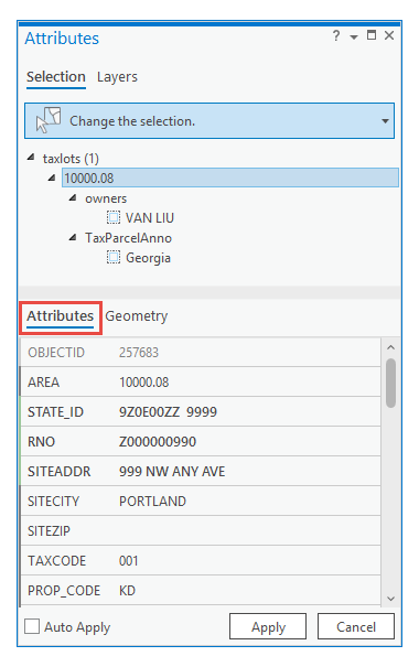 Attributes tab