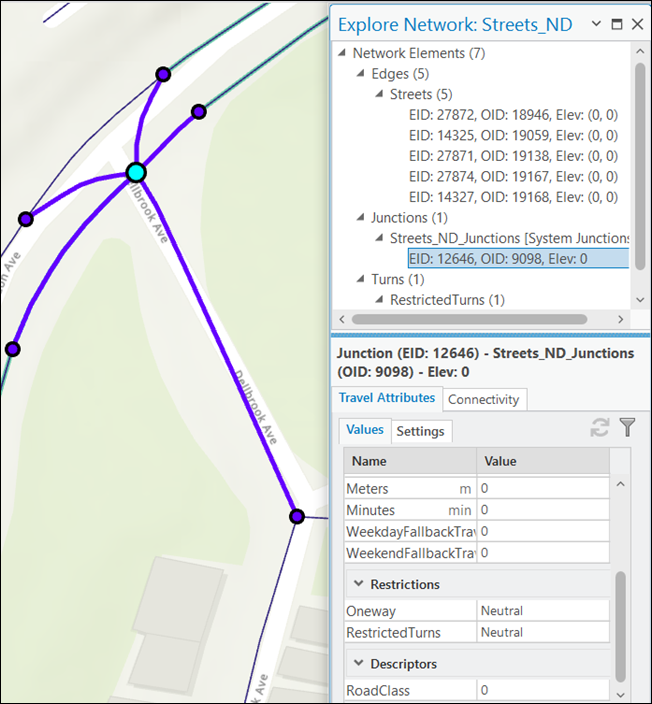 Explore Network window showing the attributes of the identified elements