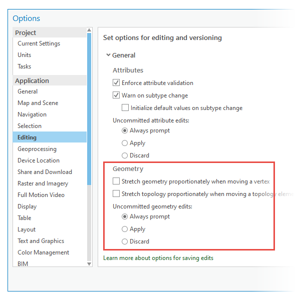 Editing Options for geometry