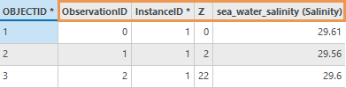 An example of the output table from the NetCDF Profiles To Feature Class tool