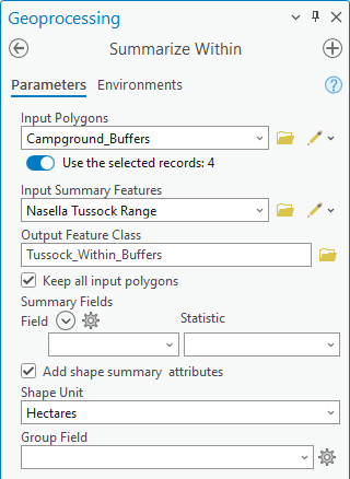 Summarize Within tool parameters