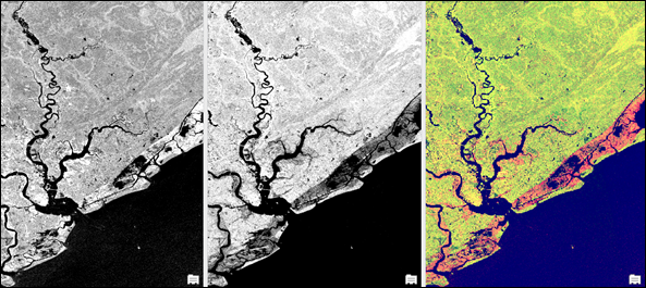 VV polarized, VH polarized, and false-color SAR data