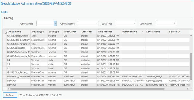 Locks view on the Geodatabase Administration dialog box