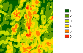 Zoom in to better see neighborhoods with higher variety