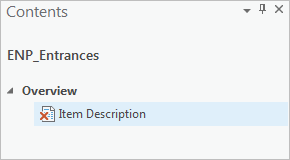 Item Description element in the Contents pane
