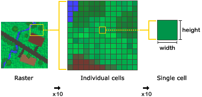 Square raster cells