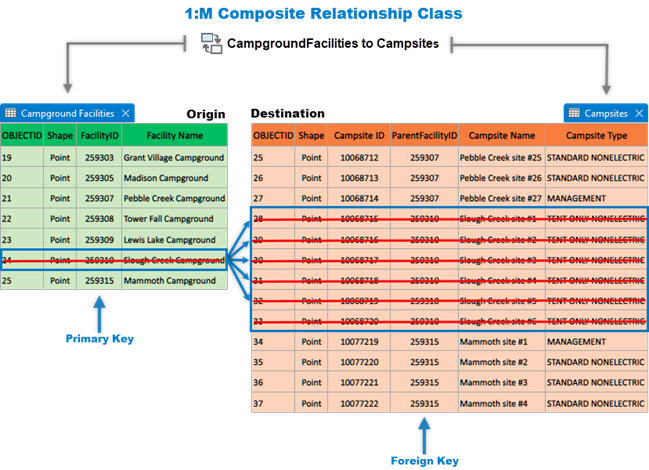 Composite one to many relationship class behavior when a parent record is deleted in the origin table and the related destination objects are also deleted