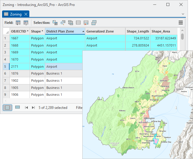 Attribute table with selected records and map with corresponding selected features