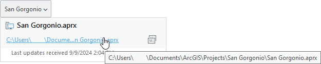 Project name window