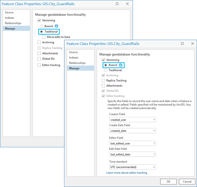 Versioning types on the Manage tab for a feature class in an enterprise geodatabase