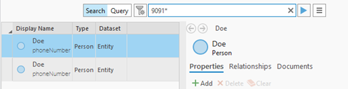 Searching with the text 9091* returned two entities.