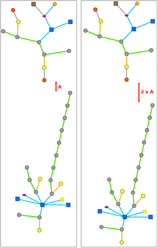 Radial Tree layout—Between Disjoined Graphs