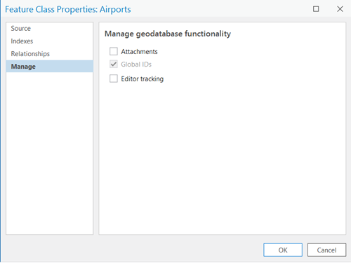 Feature Class Properties with Attachments unchecked