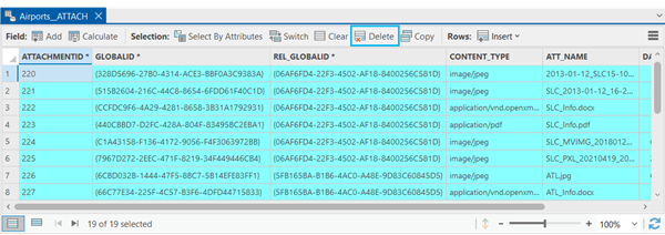 ATTACH table with all records selected and the Delete button highlighted