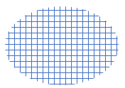 Polygon divided into raster cells