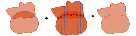 Méthode Grid (Grille)