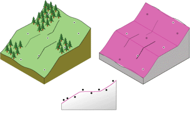 Interpolation polynomiale locale