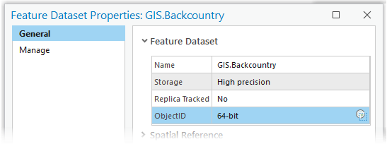 Valeur ObjectID 64-bit (64 bits) sur l’onglet General (Général) de la boîte de dialogue Feature Dataset Properties (Propriétés du jeu de classes d’entités).