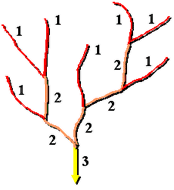 Méthode de hiérarchisation d’écoulement de Strahler