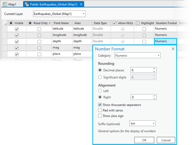 Options de formatage de champ numérique