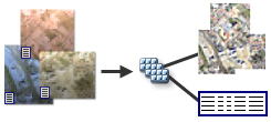 Diagramme du jeu de données mosaïque