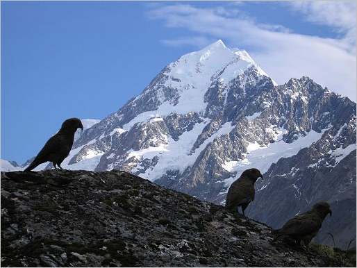 Photo de l'Aoraki/Mount Cook