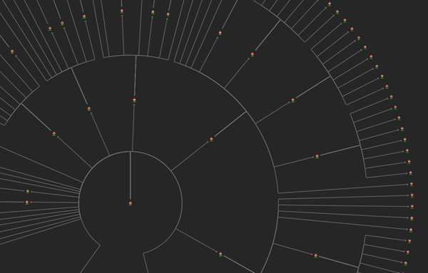 Diagramme de liens simple avec mise en page radiale en dendrogramme